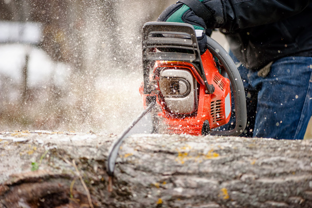 Close-up of man cutting trees from forest or garden with chainsaw and tools - Foto, Imagem