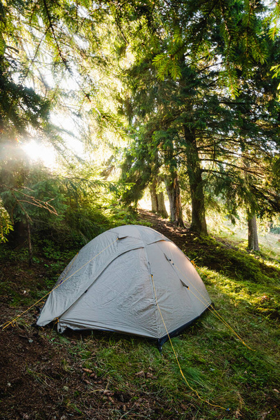 Grey tent in campside in wild summer forest in Carpathian mountains - Photo, Image