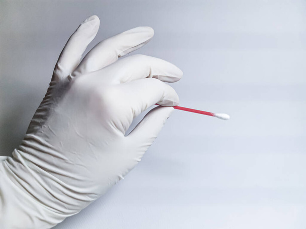 A hand in a white rubber glove holds a cotton bud on a gray background. Concept: protection against virus and bacteria, sterile environment, maintaining health. Medical Testing, DNA Test - 写真・画像