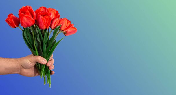 Gyönyörű vörös tulipán csokor férfi kézben. Tavaszi virágokat ad. Üdvözlőlap húsvétra, anyák napjára és minden más ünnepre, szöveges szöveggel - Fotó, kép