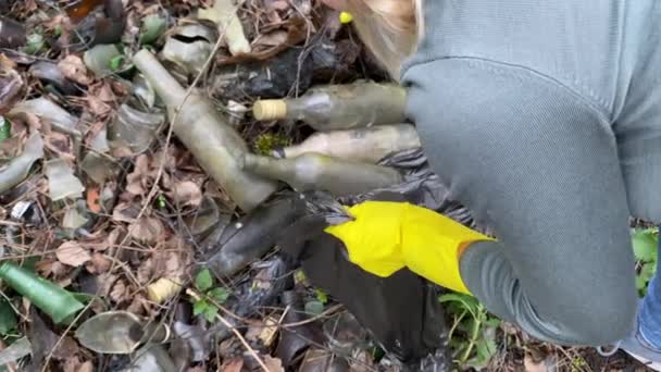 Mujer voluntaria recogiendo botellas de vidrio en bolsa de plástico en el bosque
 - Imágenes, Vídeo