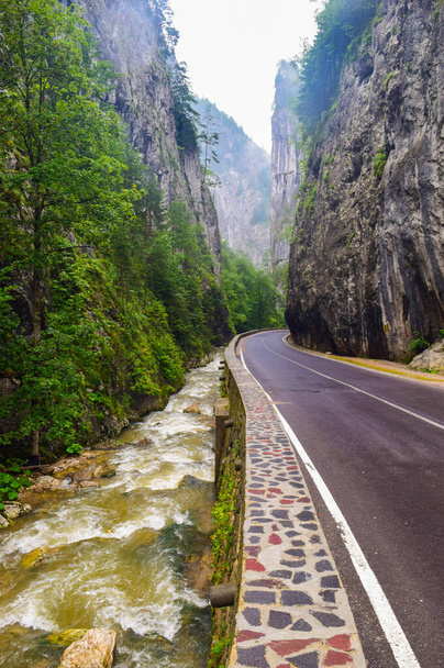 Rzeka wzdłuż drogi Bicaz Gorge w Rumunii, jest jednym z najbardziej spektakularnych jazdy w kraju, lokalizacja w Karpatach. Wysokie klify wąwozu są podzielone przez górską rzekę Bicaz.. - Zdjęcie, obraz