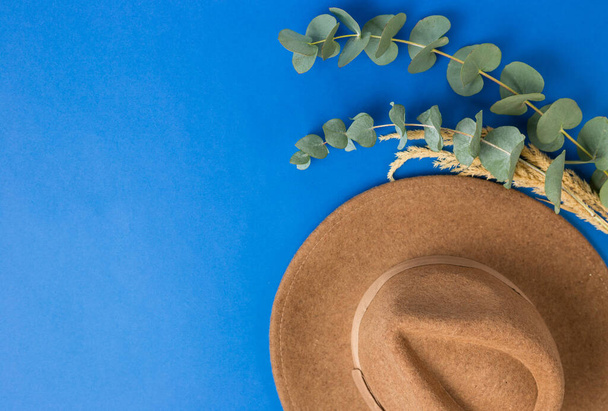 Женская коричневая войлочная шляпа и листья эвкалипта изолированы на синем фоне. Квартира лежала, вид сверху. Концепция покупок
 - Фото, изображение