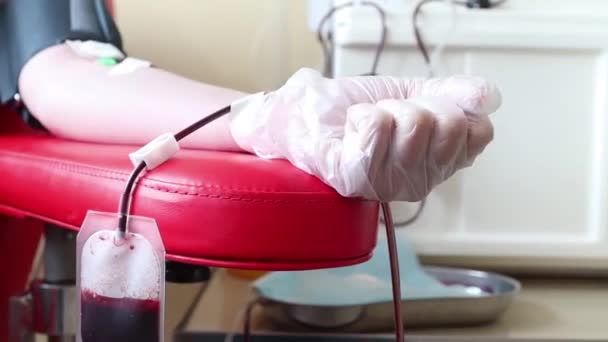 primo piano dell'estrazione del sangue in laboratorio
. - Filmati, video