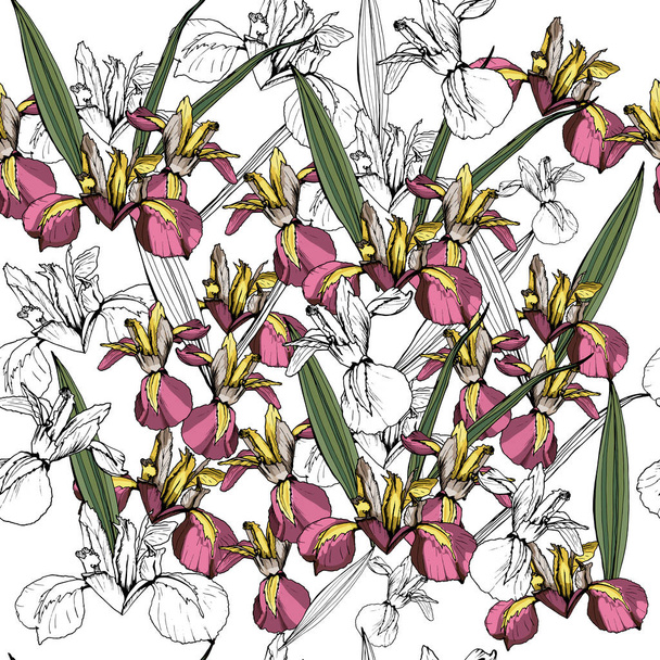 Hintergrund sind Irisblumen. Nahtloses Muster.  - Vektor, Bild