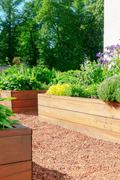 Dřevěné nájezdové záhony v městské zahradě pěstování rostlin byliny koření bobule a zelenina - Fotografie, Obrázek