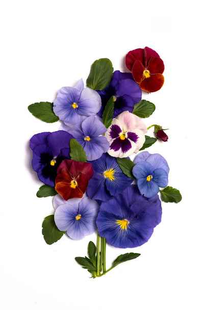 コピースペースとのフラワーアレンジメントでヴィオラ植物バイオレット花 - 写真・画像