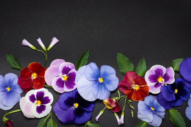 Violet bloemetje in bloesem arrangement op donkere achtergrond met kopieerruimte - Foto, afbeelding