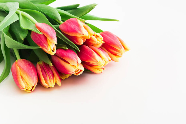 Beautiful pink and yellow tulips in bouquet over white background with copy space - Foto, imagen