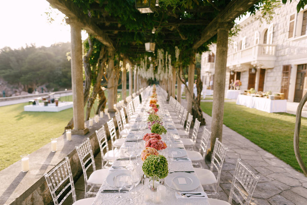 Wedding dinner table reception. A very long table for guests with a white tablecloth, floral arrangements, glass plastic transparent chairs Chiavari. Under the old columns with vines of wisteria. - Photo, Image
