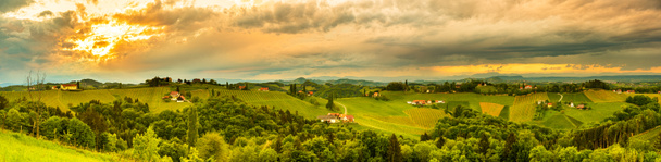 Avusturya 'nın güneyindeki Styria' daki üzüm bağları tepelerinin manzarası. Toskana ziyaret etmek için güzel bir yer. Bahar günbatımında manzara. - Fotoğraf, Görsel
