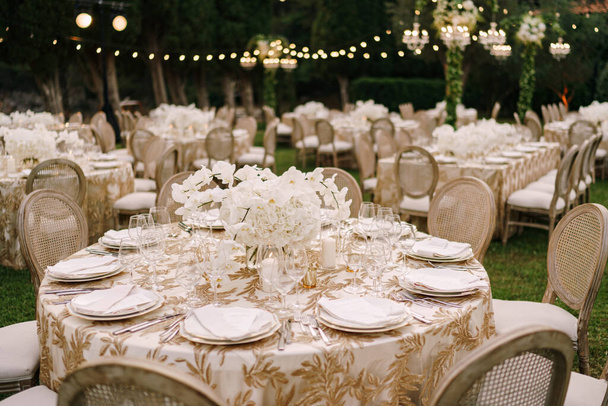 Wedding dinner table reception. Elegant tables for guests with cream tablecloths with patterns, on green lawn, with garlands and chandeliers hanging over them. Chairs with round back - Photo, Image