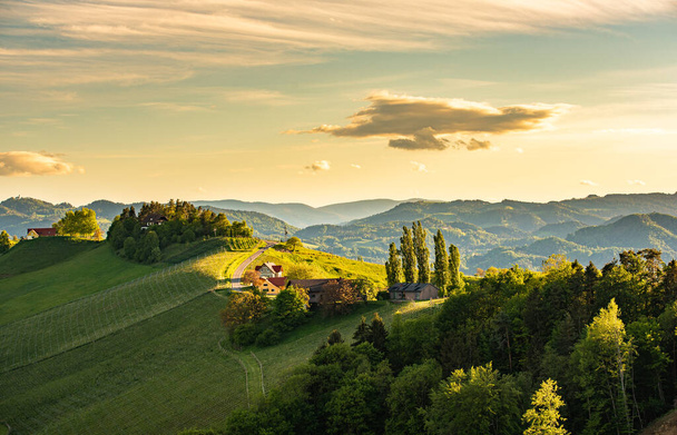 Südsteirische Weinbaulandschaft, bei Gamlitz, Österreich, Europa. Blick von der Weinstraße auf die Weinberge im Frühling. - Foto, Bild