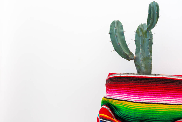 Κάκτος και πολύχρωμο μεξικάνικο πόντσο απομονωμένο σε λευκό φόντο - Φωτογραφία, εικόνα