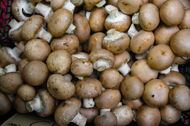 box of fresh champignons. top view - Fotoğraf, Görsel