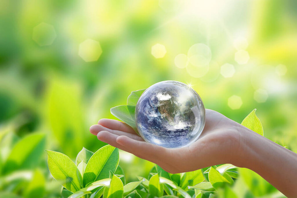 World in Hand and Blurred Beautiful Bokeh in the Garden Background . World environment day concept with tree planting and green earth on volunteering hands. Element of the image furnished by NASA - Photo, Image