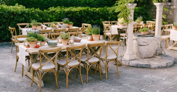 Weselna kolacja o zachodzie słońca na zewnątrz. Starożytne prostokątne drewniane stoły z szmatą, drewniane krzesła vintage, garnki lawendowe, pomidory wiśniowe i gliniane garnki z cytrynami na stołach - Zdjęcie, obraz
