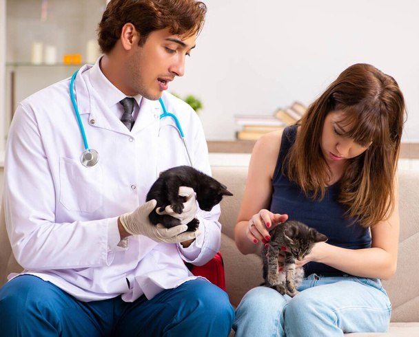 Vet γιατρός επισκέπτονται άρρωστα γατάκια στο σπίτι - Φωτογραφία, εικόνα
