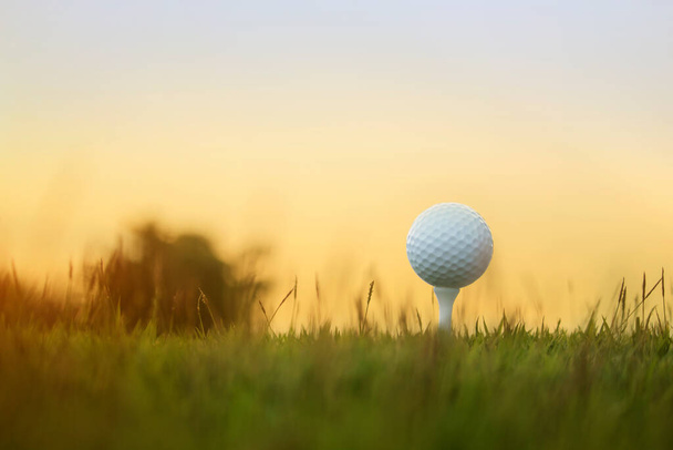 μπάλα του γκολφ στο ΤΕΕ σε ένα όμορφο γήπεδο γκολφ με την πρωινή ηλιοφάνεια.Έτοιμος για γκολφ στην πρώτη βραδιά.Sports ότι οι άνθρωποι σε όλο τον κόσμο παίζουν κατά τη διάρκεια των διακοπών για την υγεία. - Φωτογραφία, εικόνα