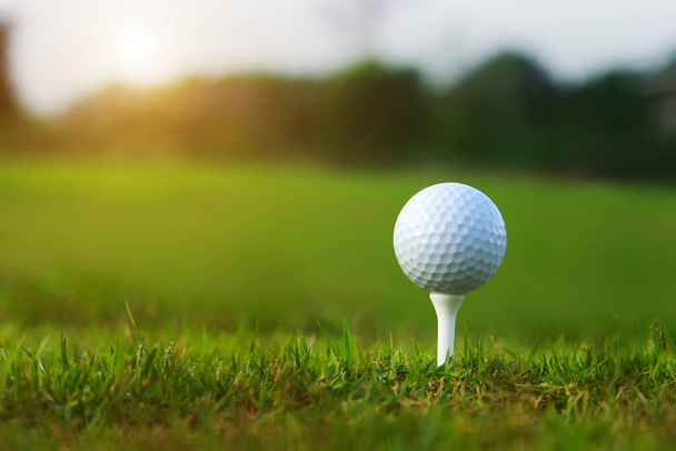 朝の日差しと美しいゴルフコースでティーゴルフボール.まず第一にゴルフの準備ができて.健康のための休日の間に世界中の人々が遊ぶスポーツ. - 写真・画像