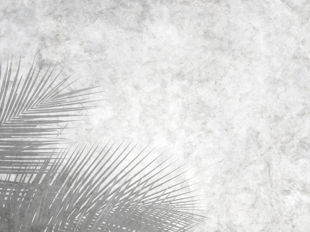 Shadow of palm leaves on cement wall background in vintage style and space to write a message for graphic design or wallpaper. Retro template for presentations - Foto, immagini
