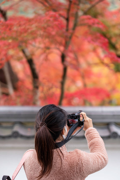 Bahçede renkli fotoğraf çeken mutlu kadın gezgin, Kyoto, Japonya 'da Asya' ya turist ziyareti ve sonbahar mevsiminde güzel doğanın tadını çıkarıyor. Tatil, gezi ve gezi konsepti - Fotoğraf, Görsel