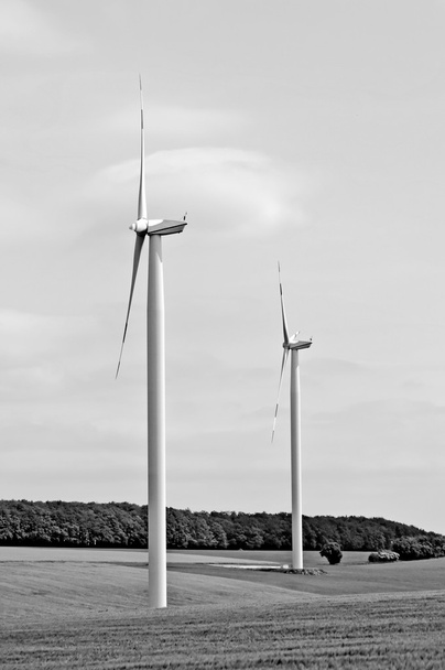 ruedas de viento
 - Foto, imagen
