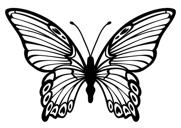 simplified stylized lovely butterfly vector outline - Wektor, obraz