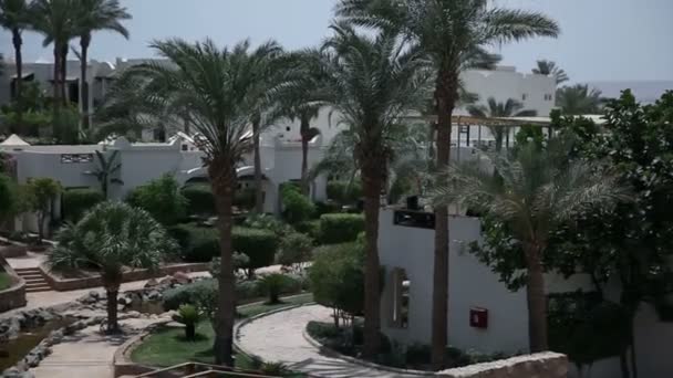 schöner grüner Park und Gebäude in Sharm - Filmmaterial, Video