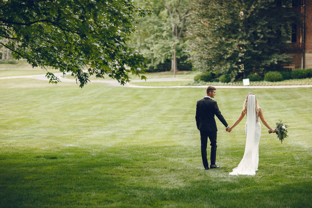 Elegant wedding couple - Valokuva, kuva
