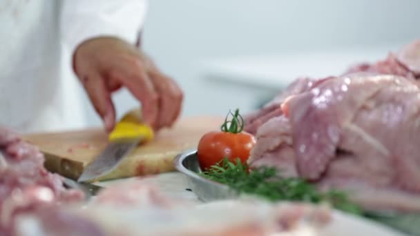 Butcher preparing turkey steaks for customers - Filmati, video