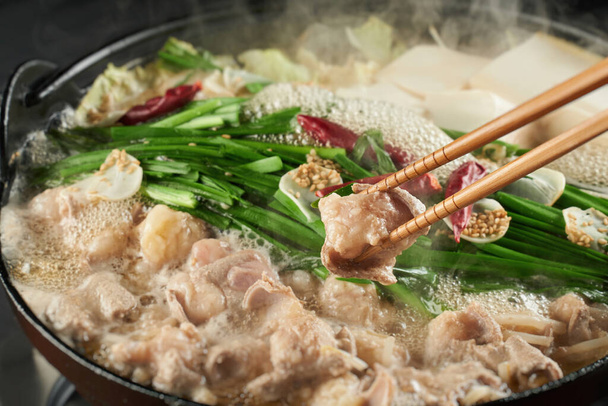 Ιαπωνικό ζεστό πιάτο κατσαρόλας, Motsu-nabe - Φωτογραφία, εικόνα