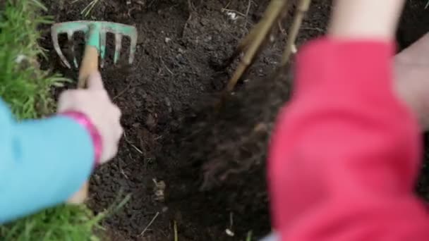 Close up on burying just planted seedling - Filmati, video