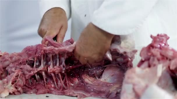 vágás csontok pulykahús - Felvétel, videó