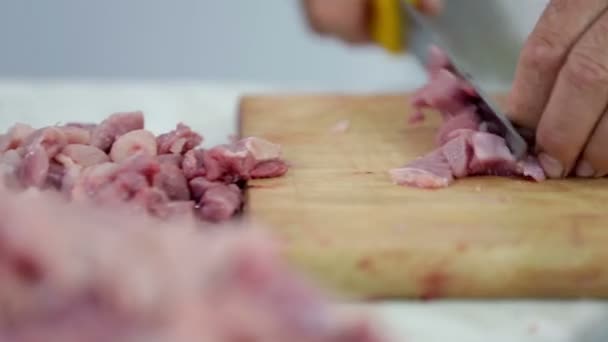 Slide shot of butcher cutting small cuts of turkey meat - Video