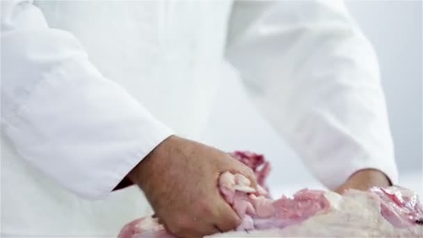 Chopping turkey meat to two parts - Footage, Video