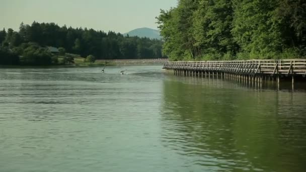Two kayakers rowing to the finish line - Footage, Video
