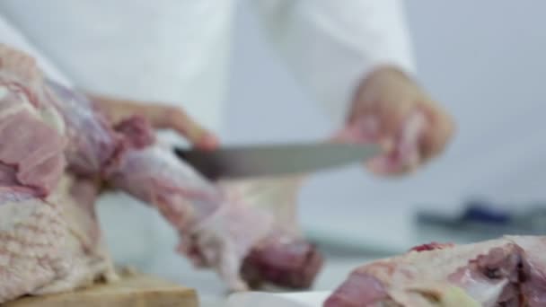 Butcher cutting off skin from turkey meat - Felvétel, videó