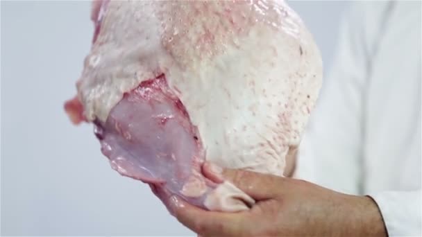 Showing turkey leg in camera - Materiał filmowy, wideo