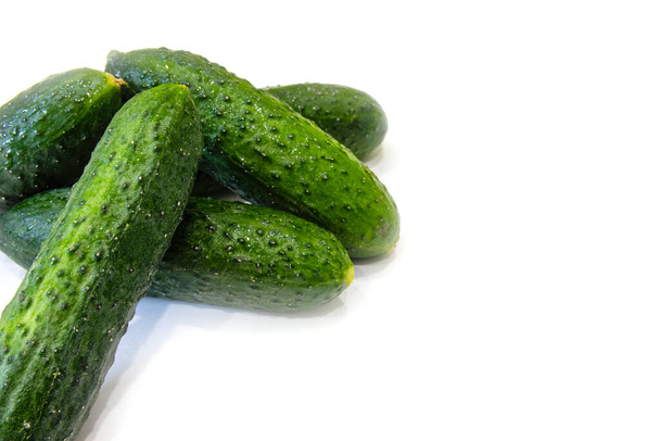 Fresh wet cucumbers on a white background. Free place - Photo, Image