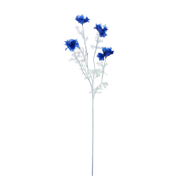 Farbe künstliche Pflanze mit lraves isoliert auf weißem Hintergrund   - Foto, Bild
