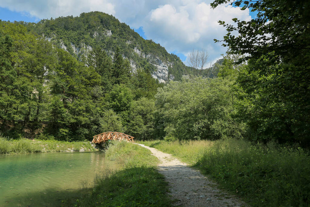 Zavrsnica lake in Slovenia - Photo, Image
