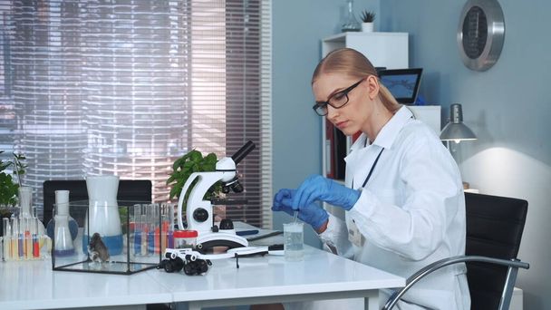 女性科学者が化学研究室で有機材料を用いた実験を行う - 写真・画像