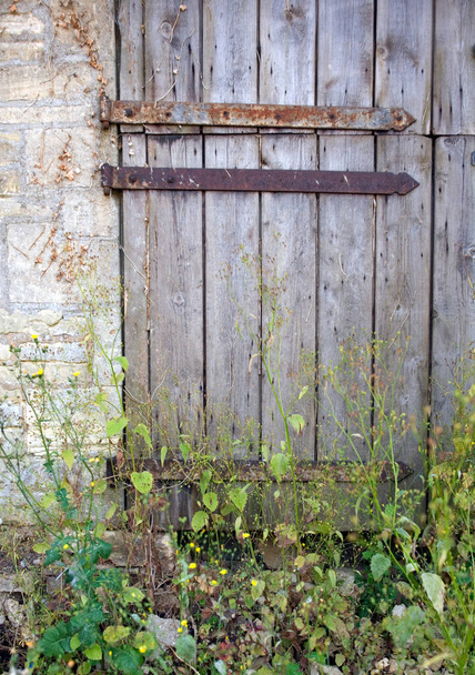 Antiguo envejecido oxidado bisagra puerta estable entrada bloqueada con malas hierbas
 - Foto, imagen