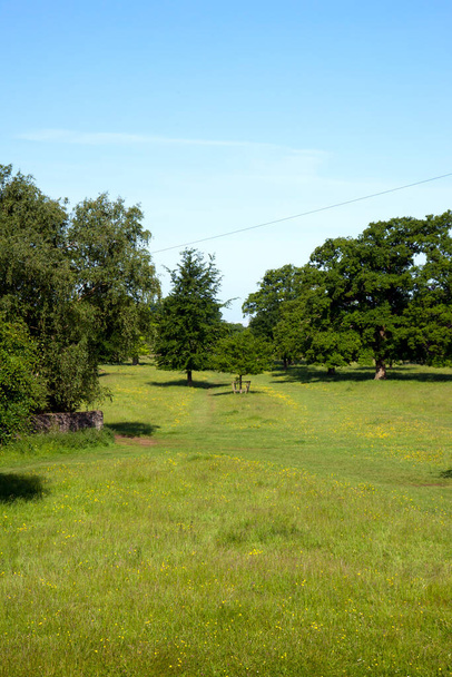 Árboles maduros en el parque como el paisaje de Minchinhampton Common en The Cotswolds, Gloucestershire, Inglaterra, Reino Unido
 - Foto, Imagen