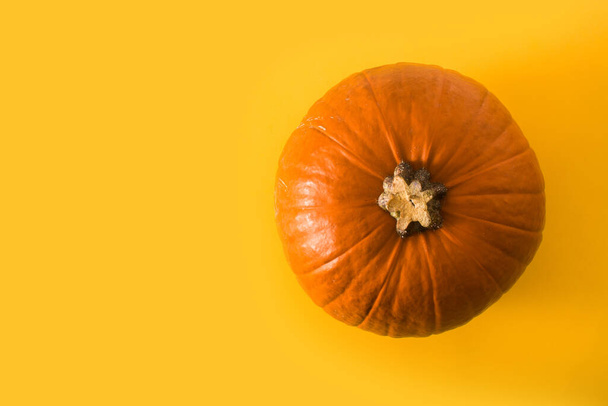Pumpkin on yellow background. Top view. Copy space - Foto, afbeelding