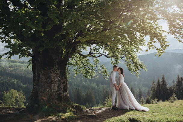 Spring wedding in the mountains. A young guy in a white shirt and trousers and a girl in a white dress are standing under the branches of a large tree in the mountains at sunset - Photo, image