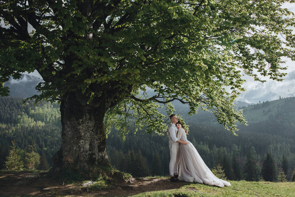 Spring wedding in the mountains. A young guy in a white shirt and trousers and a girl in a white dress are standing under the branches of a large tree in the mountains at sunset - 写真・画像