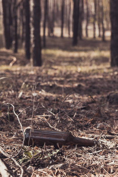 Bouteille en verre brun sur le sol dans une forêt de pins. Concept de pollution environnementale
 - Photo, image