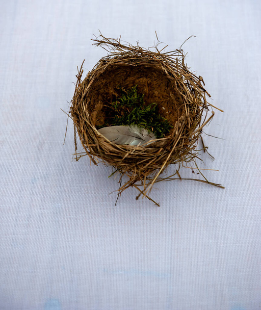Bird nest with moss and feather inside isolated on white background. Detail of blackbird nest isolated on white. Summer wedding nature decoration. - Photo, Image
